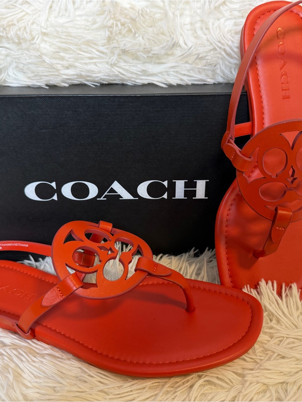 Make a vibrant statement with these gorgeous COACH "Jaci" T-Strap Sandals! - Picture 2 of 10
